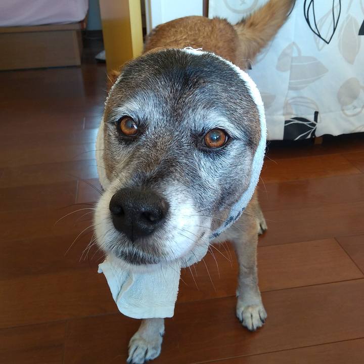 505eb23d 59a7 4e5d b4b9 1ce4c73ba118 1548292274855