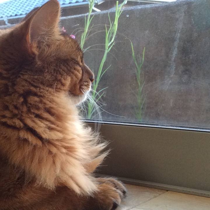 505eb97f 1564 432d 959c 550a41dfff14 1598922477312