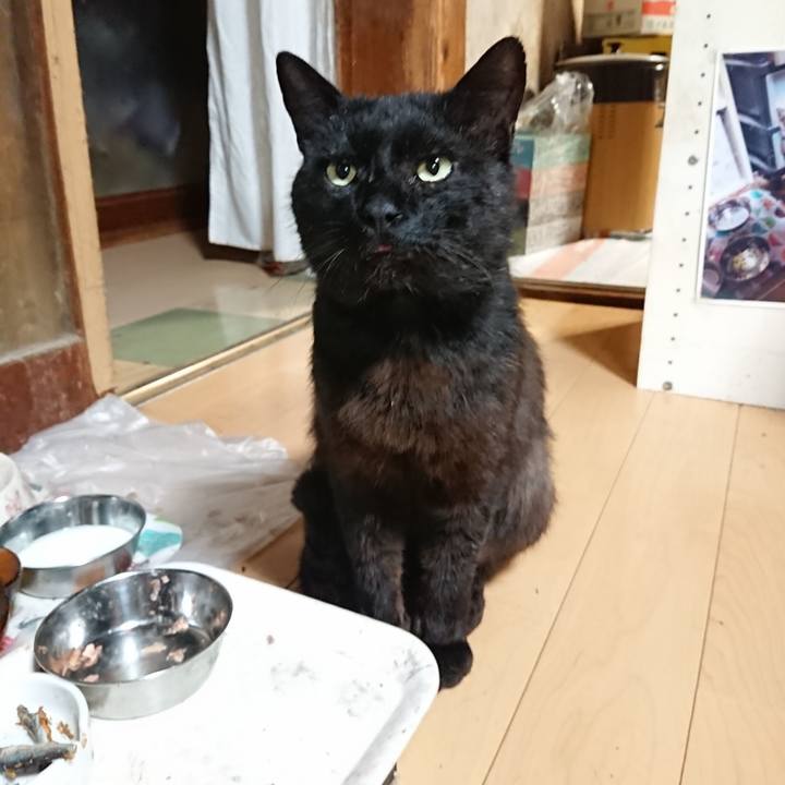 505ecbc9 dc4d 44ee b351 c2304723af39 1624360093918