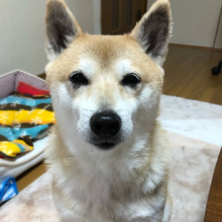 505ecda5 eceb 40c0 bc9a 3efe07d546a7 1578663627795