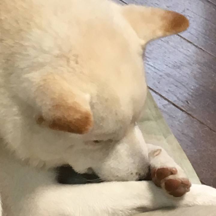 505eee8a 67b0 4083 9f2e 8239c672ea17 1530564475365