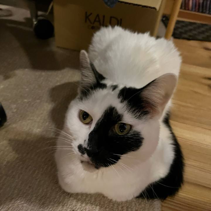 505f3a53 5947 4d85 8283 e35850fdf60f 1762523511202