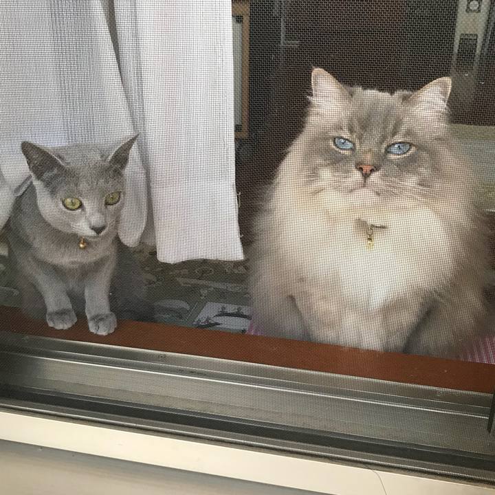 505f4896 e570 4c41 814b 94987c3faf29 1523008671243