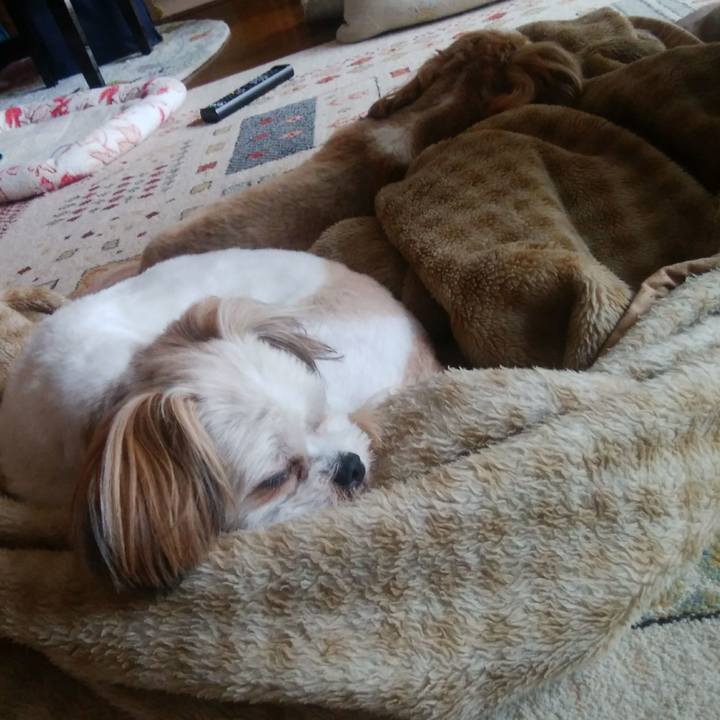 505f5776 b44c 4056 8dec f80f73c2d86d 1562991298058