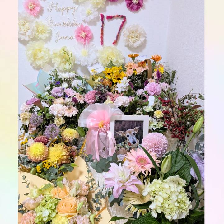 505f70ac b728 441a 8bae 02b8a6ef4545 1764241084090