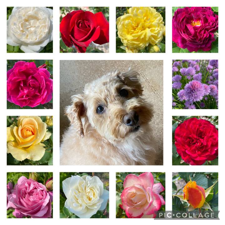 505fc20d 4db3 4bd1 8f1b 3bc0c0a50daf 1655548851430