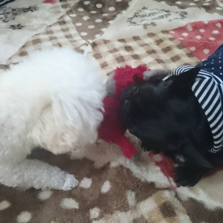 50600ced e8ed 441c 9d39 ebf991603e34 1521844279324