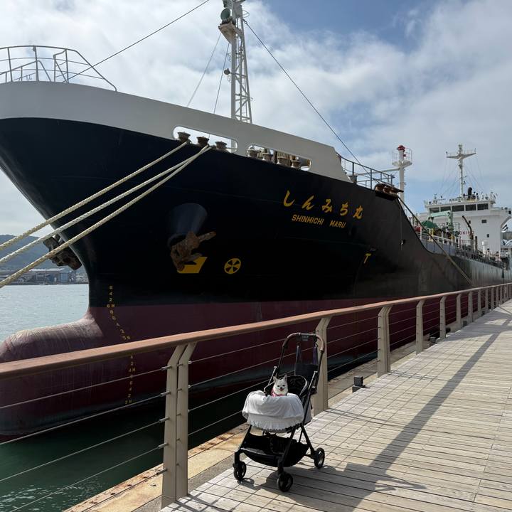 506010b3 906a 455d 9442 cd7b98da2496 1760478998926