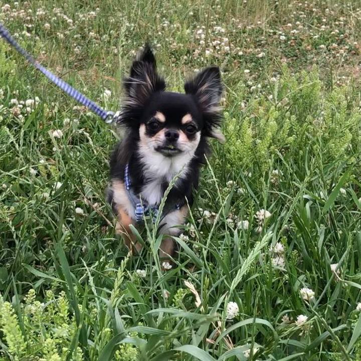 506024fb 6c35 4634 bd2a 59c748222fde 1558999724754