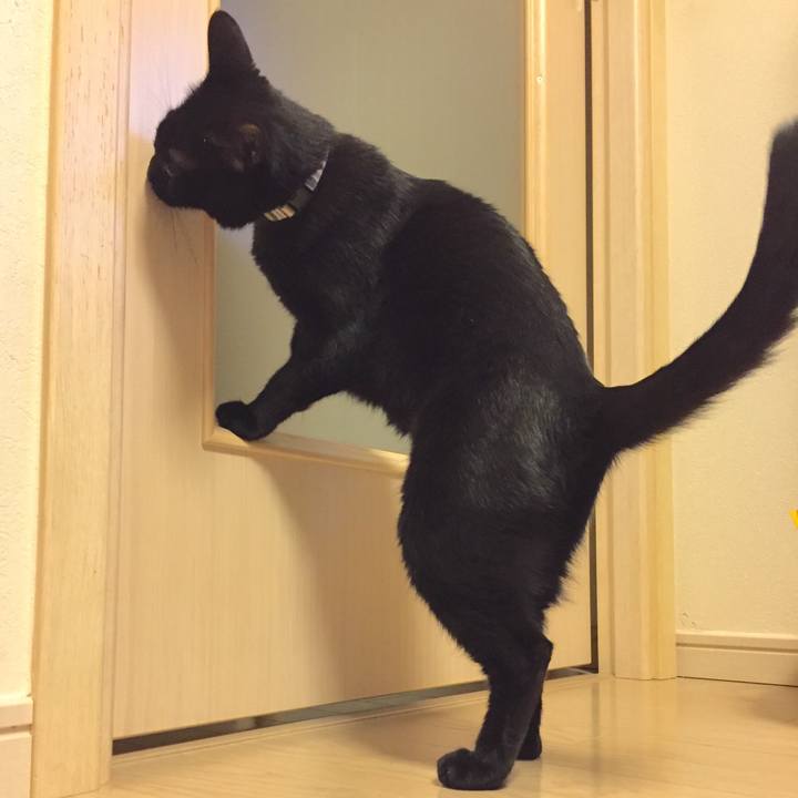 506043fc 93e3 4edc 93a3 e4f41ab4ea04 1509543326954