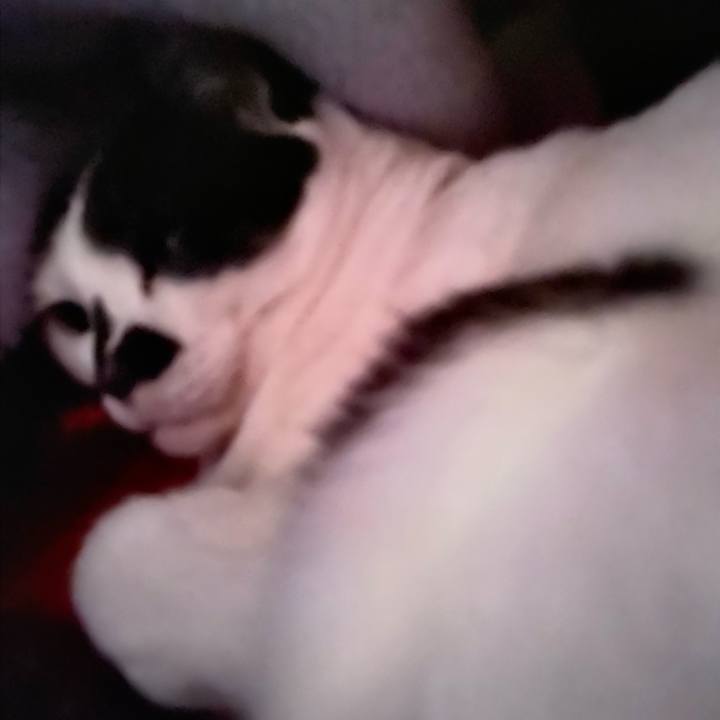 506059e6 4a3e 4879 a7e5 5ce695dfed50 1613619959413