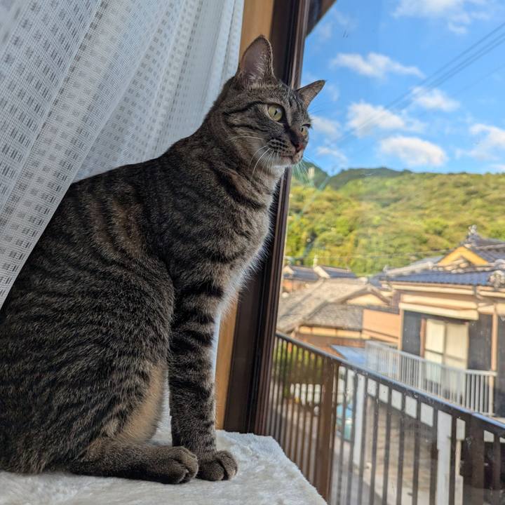 50605e0c a802 4790 af7c 355a7101301b 1723440251463