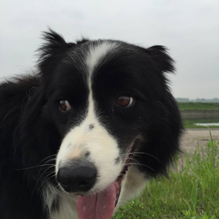 50606235 e1d6 4271 904c 9f84d89466d2 1526510770341