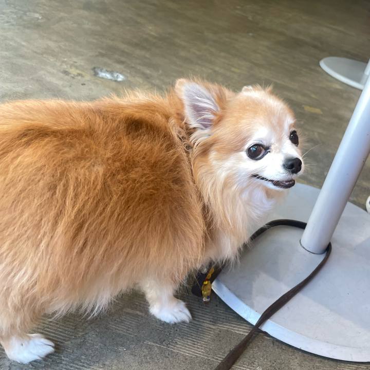 50607168 b1e7 4775 8f3c 6e10ce010619 1760790633375