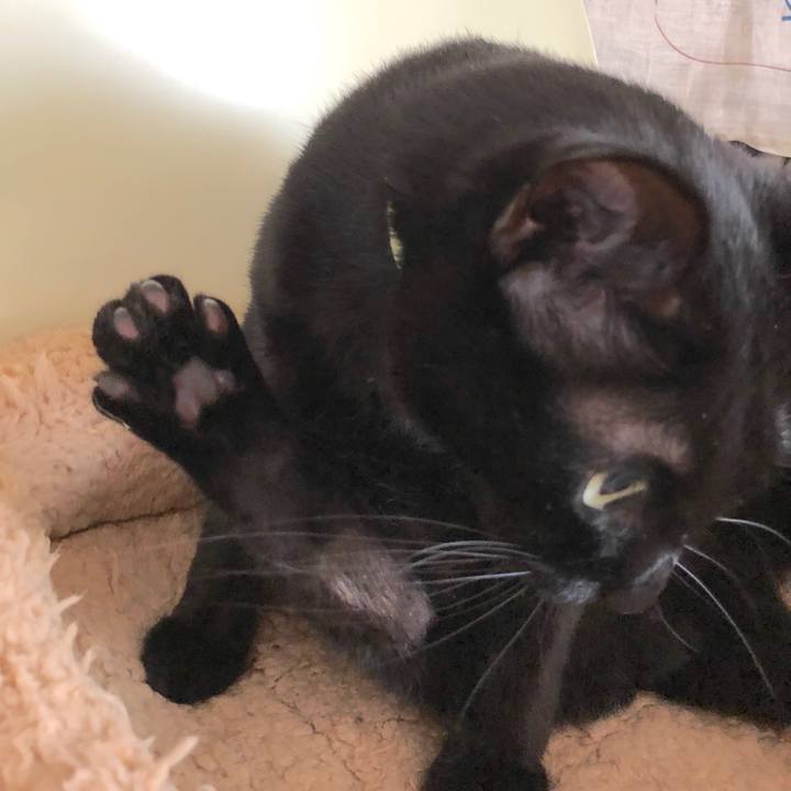 50608397 c114 42ee 9ae3 dc9e714a9a38 1556541551092