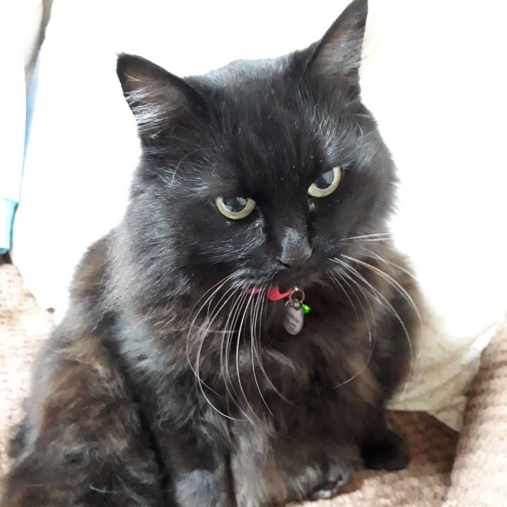 5060a107 9eeb 45ee b54c b168cae578fe 1519337240055