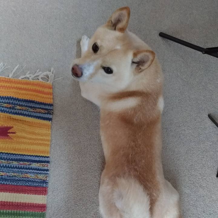 5060aab1 222c 444c 8b10 9e2def844725 1575440174825