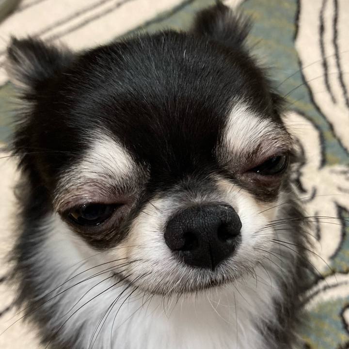 5060e6d2 b591 4255 853f 5695afe91c46 1622989736728