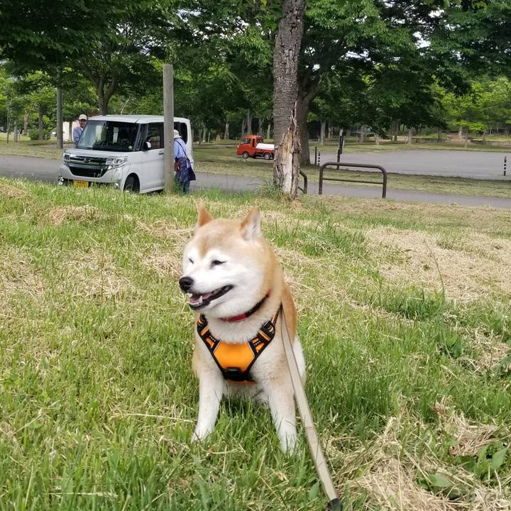 5060f395 52dd 4692 bc1d 1a7f92acb8b9 1716531314954