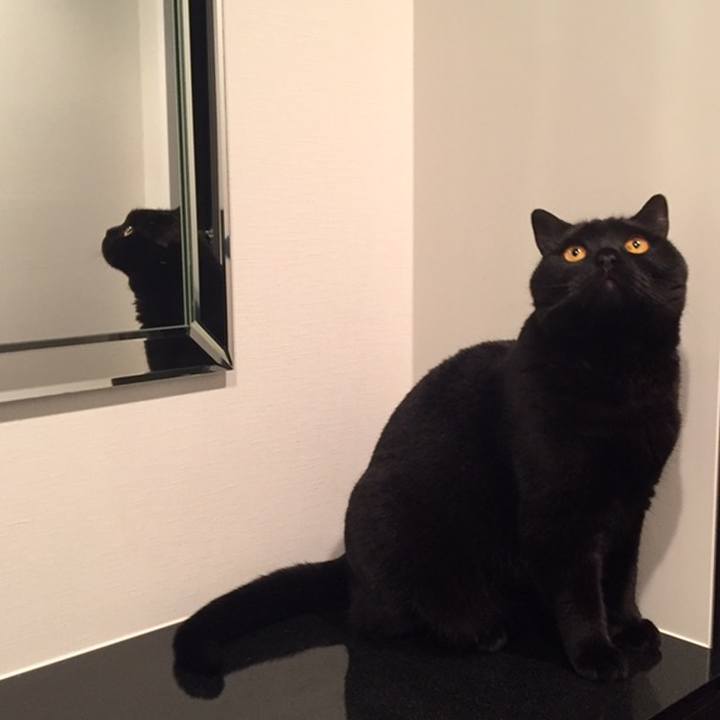 506109a4 7aef 47dd 910a 11c1102a2e6e 1559914353026