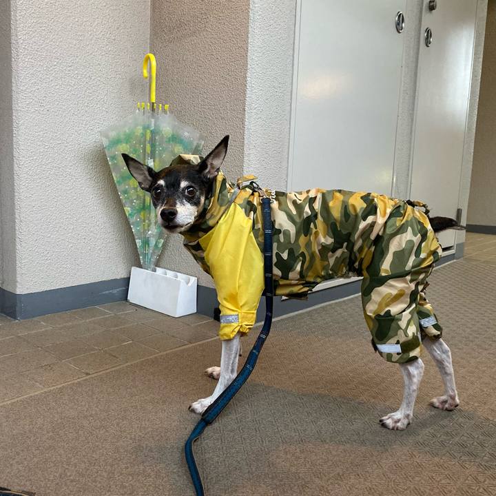 50612abf f317 4c78 85d5 493e5791f238 1571868150302