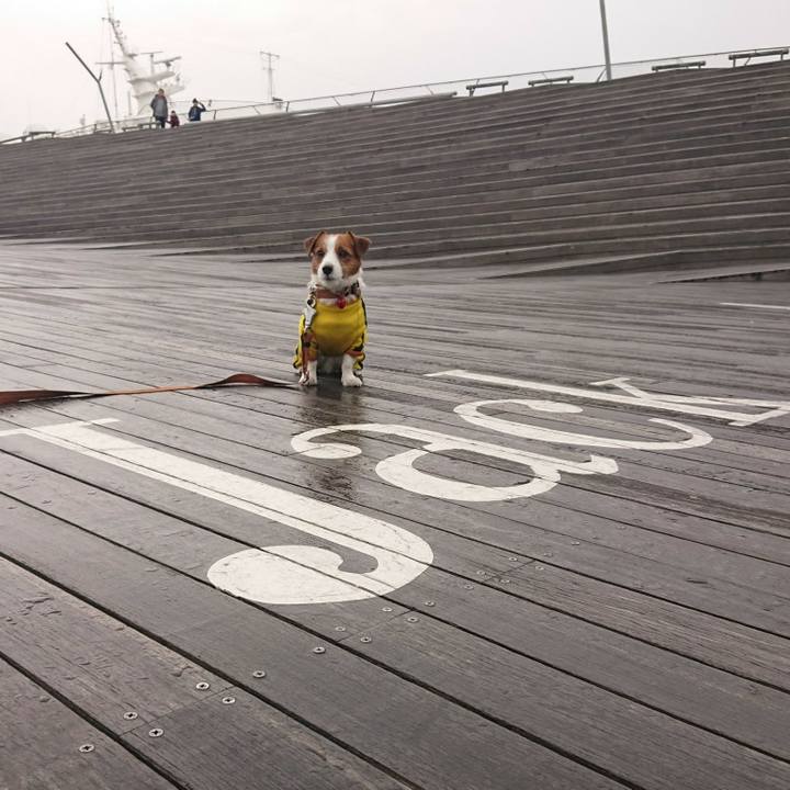 50613e2f d03e 41b0 9285 fb00f186f172 1515495227719