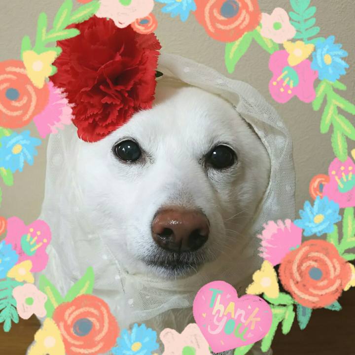 50617bde d630 4478 804b 6151c54c87da 1589069720948