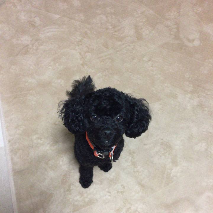 50618596 1902 4910 a897 ad024c7978cb 1508217147901