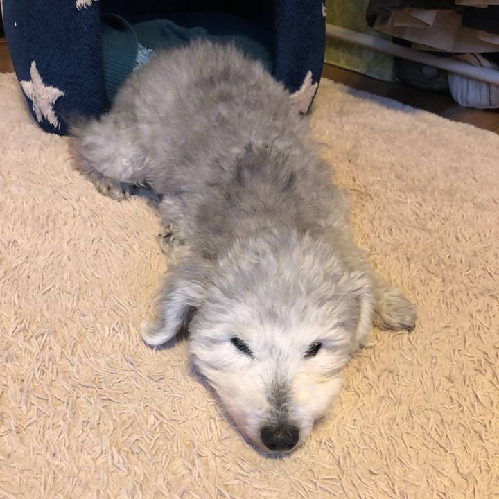 506187ed 5c93 47c1 a2c3 61001f1daa61 1643154762382