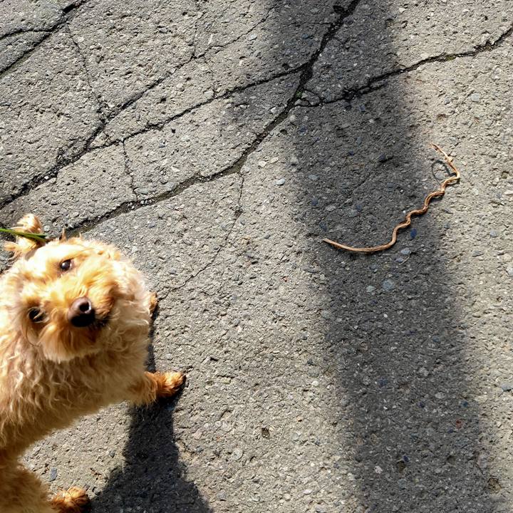 50618f3e 96fc 4669 a08d 5dc6db0042ee 1589244173923