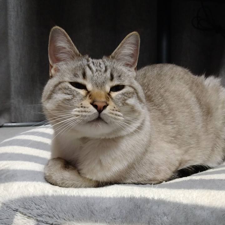 5061bb47 0c4d 4c28 8d3e d537a42e5fc8 1641895941797