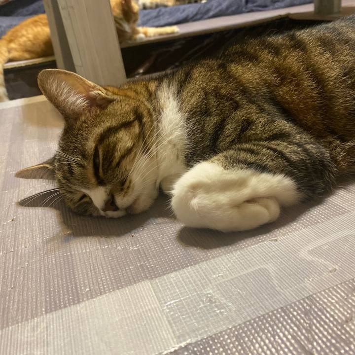 5061c0eb 61dc 4ad5 8780 db97a0d00510 1623413786926