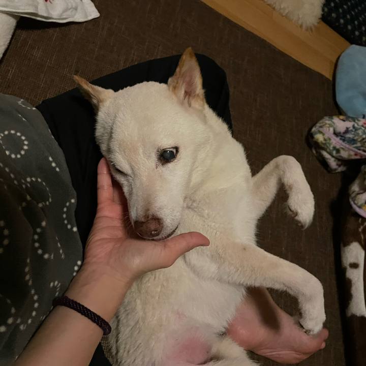 5061c119 9520 40d8 a42b 4c93bc905a7f 1668101396261