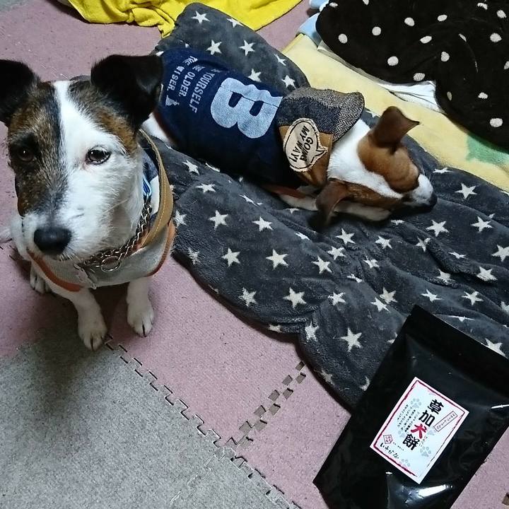 5061d28a 5067 4d29 83d2 29ec14bde4c0 1550320122082