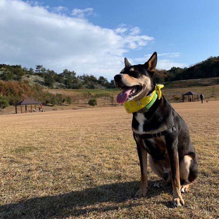 5061e383 121e 4856 b7b6 3767a504439f 1575796499324