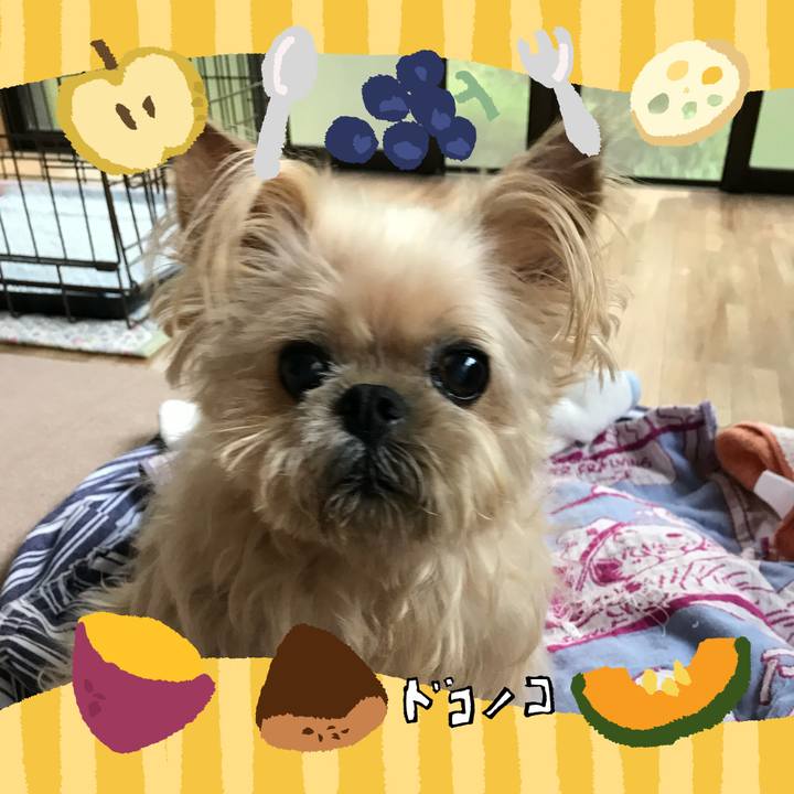 5061f069 f76f 4764 9a85 9504cca9ddeb 1726826931472