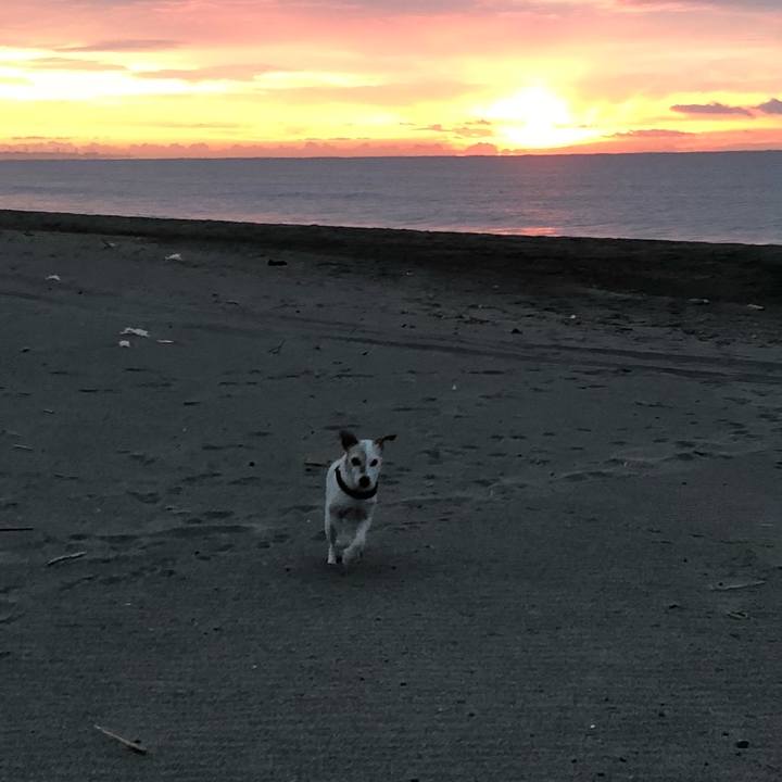 50620f35 3b96 4a64 9869 33a6872fbdc9 1515367057301