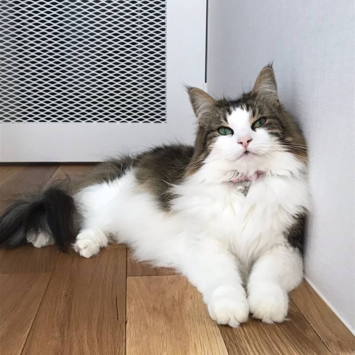 506224de beb1 4ae9 a39e 879e0dc9038e 1526442523726