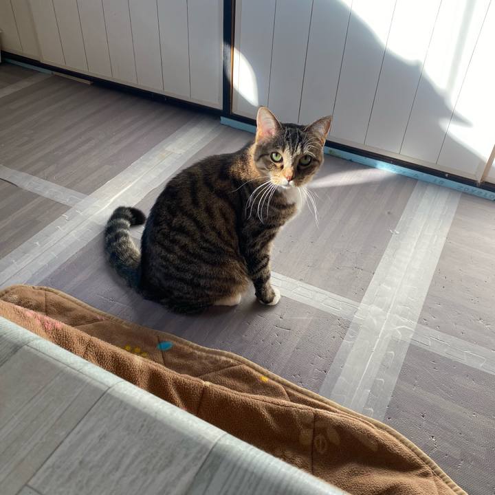 50623fc1 a36e 4e47 b72d 3eca7db6294e 1640995379692