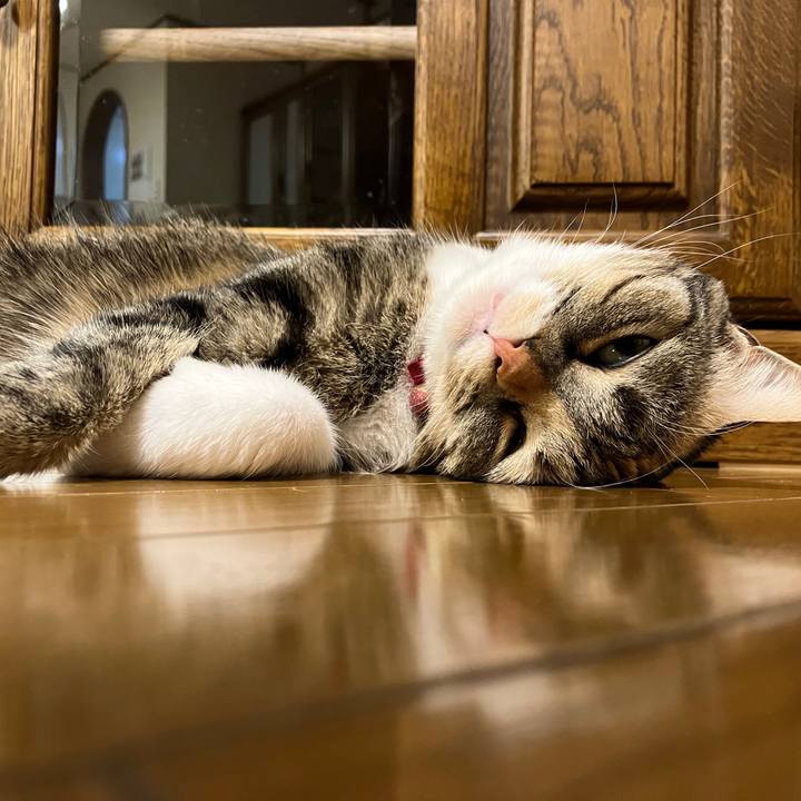 5062abc1 8584 4853 849c 979910fe8f54 1768296610213