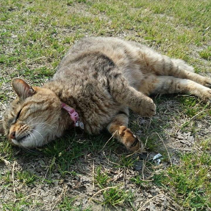 5062d8fa 0abe 4e0e a101 634215eb4d0b 1522725589515