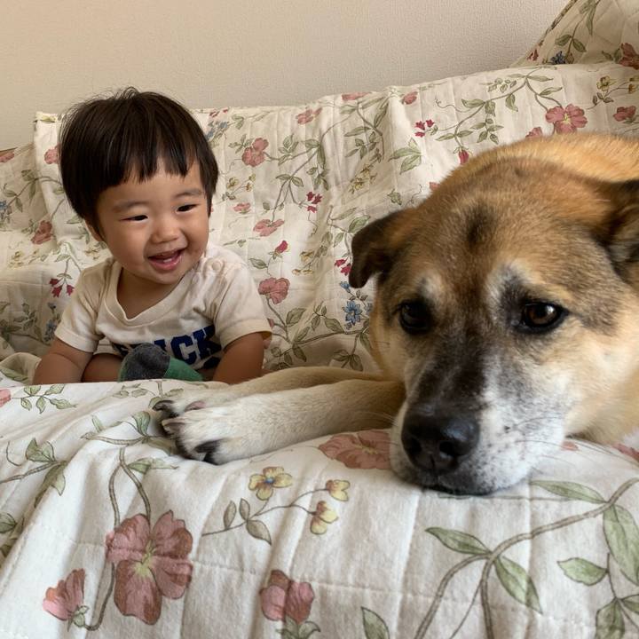 506328c5 37b2 4315 82c5 8ec6ef9a42da 1565405208537