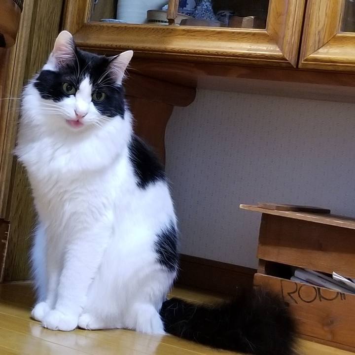 50634c05 a56a 4ea9 bd95 0ae7f7bc6144 1586700212385