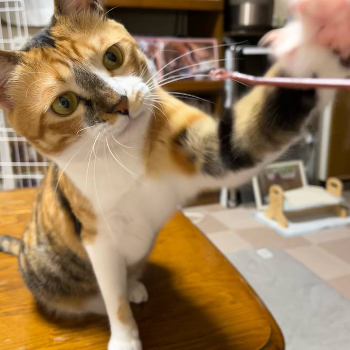 50637a2b 9236 4d6a 8f2a 2bfe0fa368fc 1693133910753