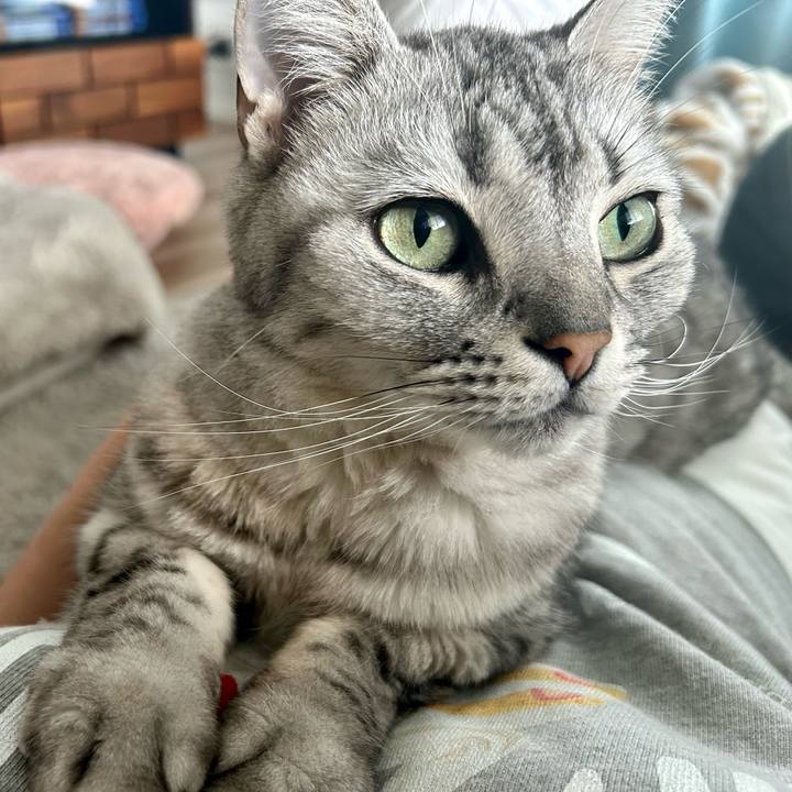 50638b3d 510c 4f36 b6bc e81f3ddf3833 1714354580257