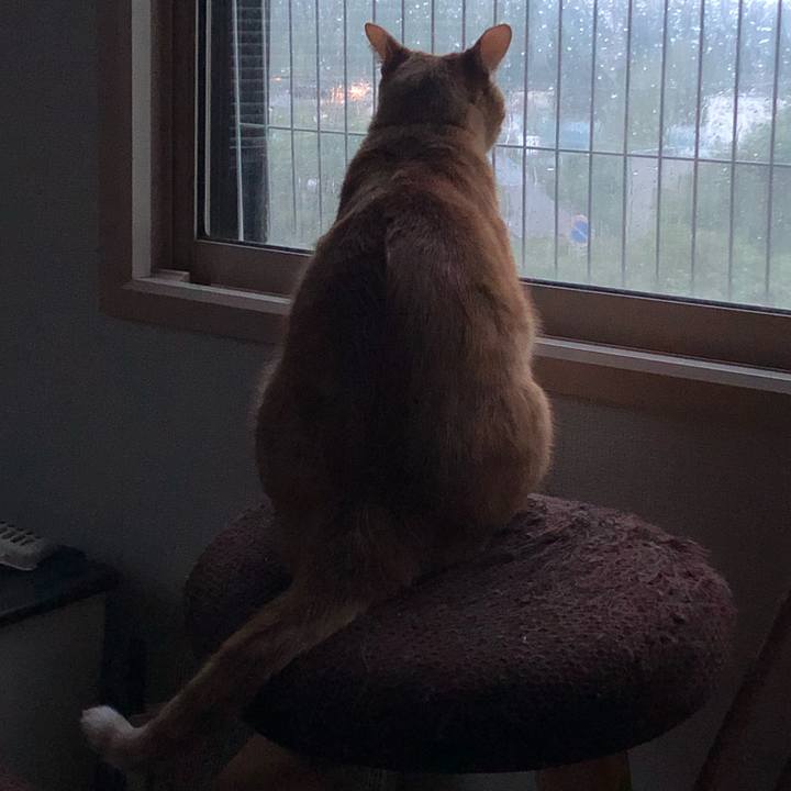 5063b2bb a3b6 4605 b0cb 8ee8ebb3313a 1600159578173