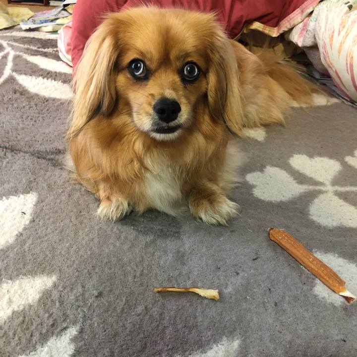 5063eacd 9b1c 4d13 8321 b4a766416134 1559943265033