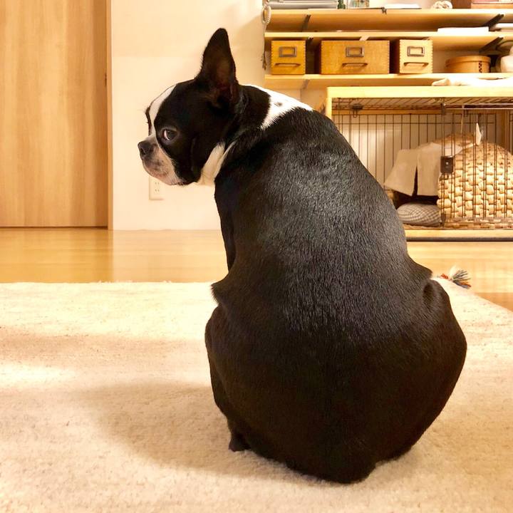 5063f89f c8d1 4f70 9f25 e855105d17b1 1530009578190