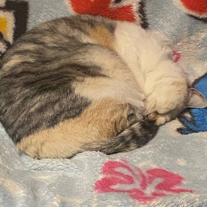 506414ec fa81 42d0 8713 69eb1376d160 1700999454514