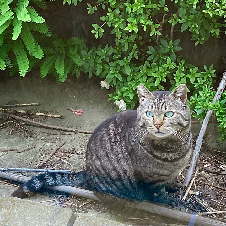 50645552 49d3 41eb ace8 3e1e28bbcfdd 1655858431261